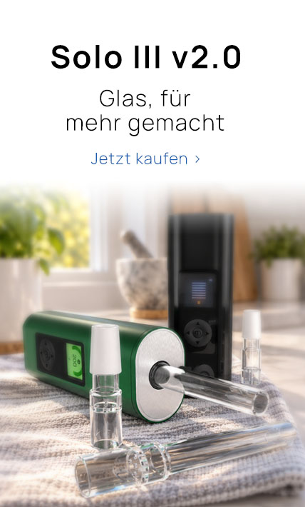 Solo III sale
